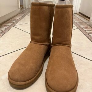 Brand-new Uggs boots classic short in chestnut size 8 woman